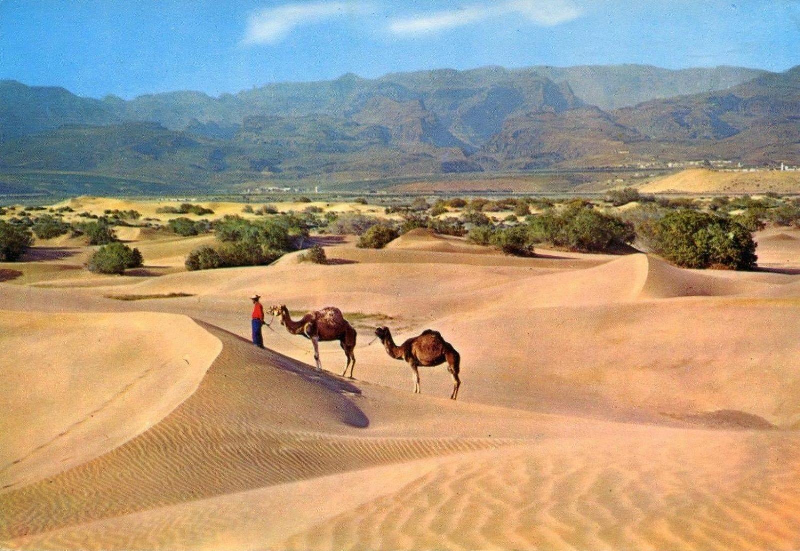 شقة Donana 1109 باتالاباكا المظهر الخارجي الصورة